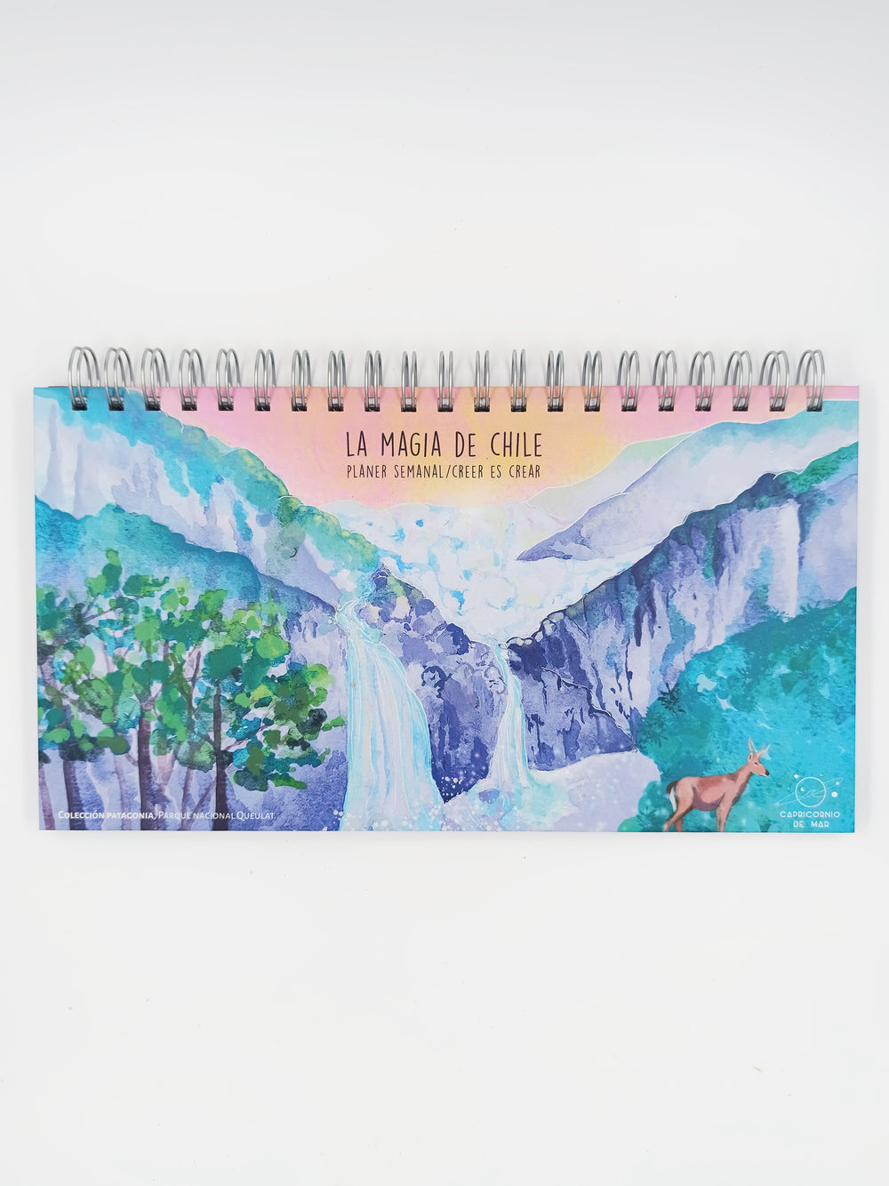 Planner Patagonia