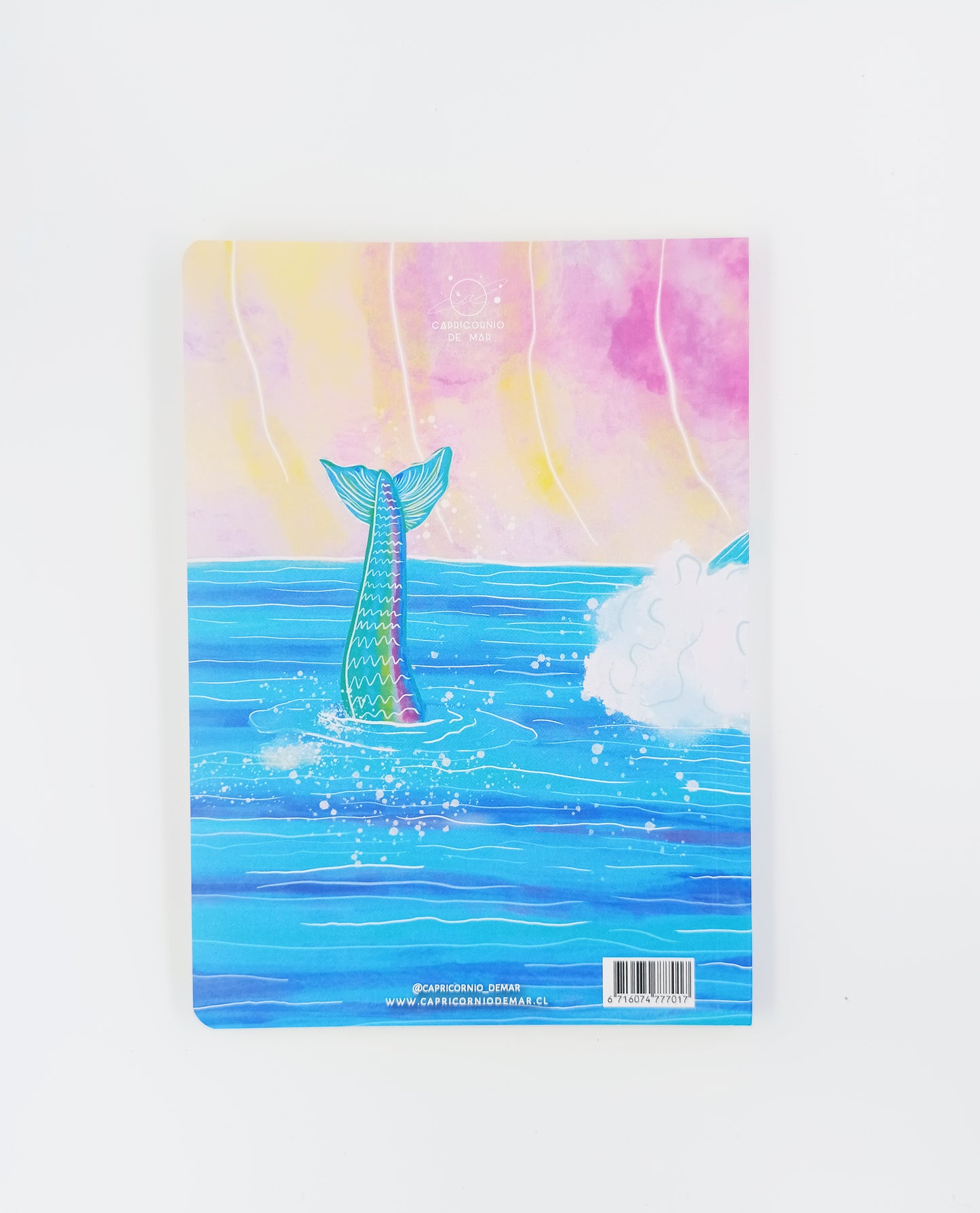 Cuaderno Surfista