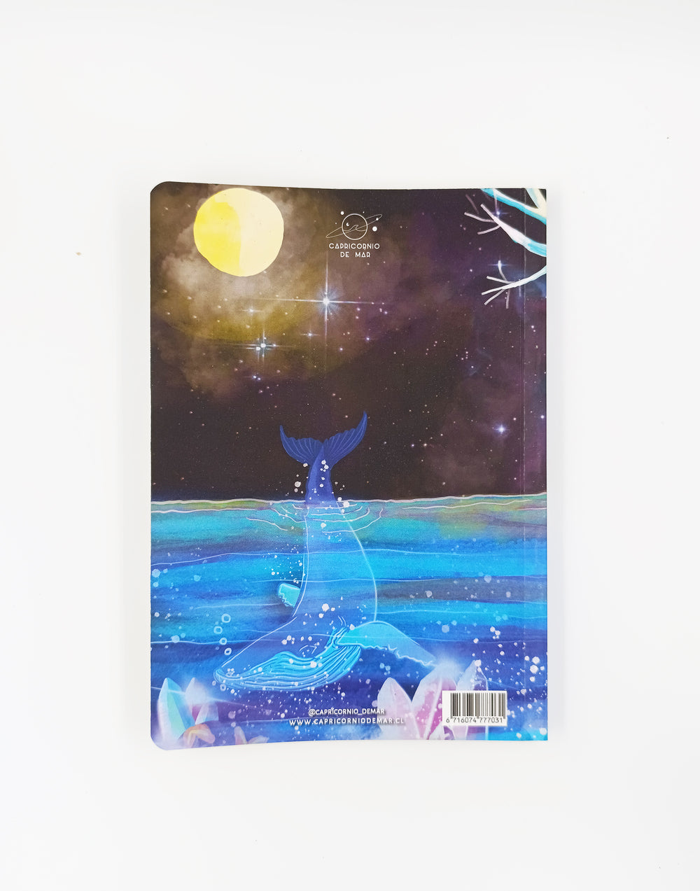 Cuaderno Ballena