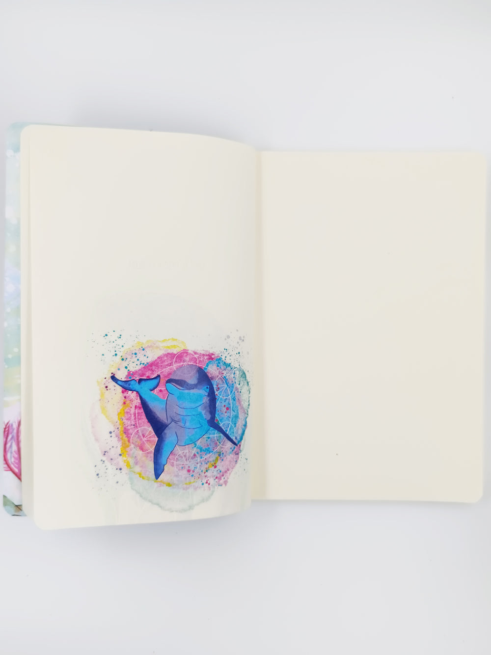 Cuaderno Ballena