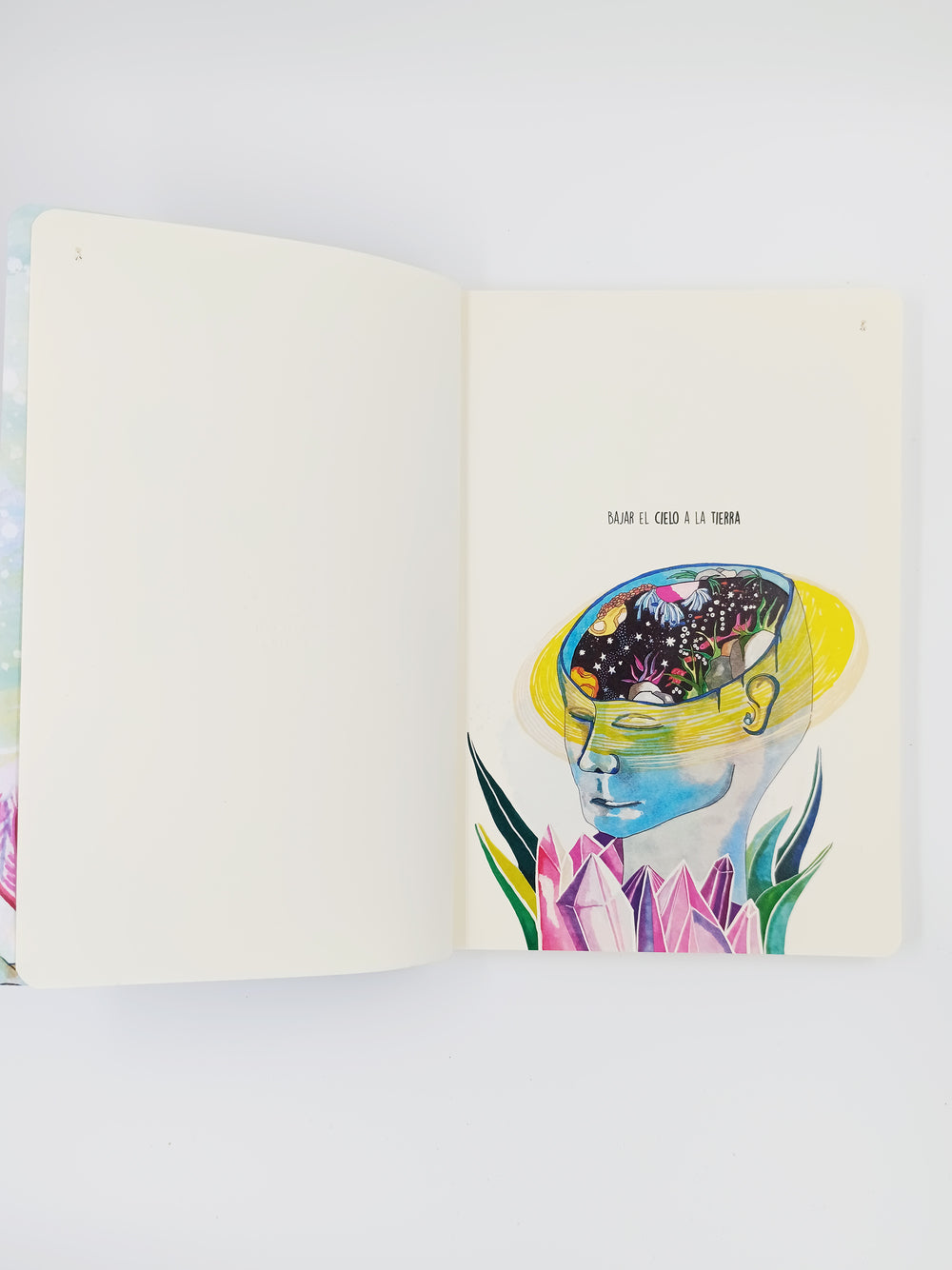 Cuaderno Ballena