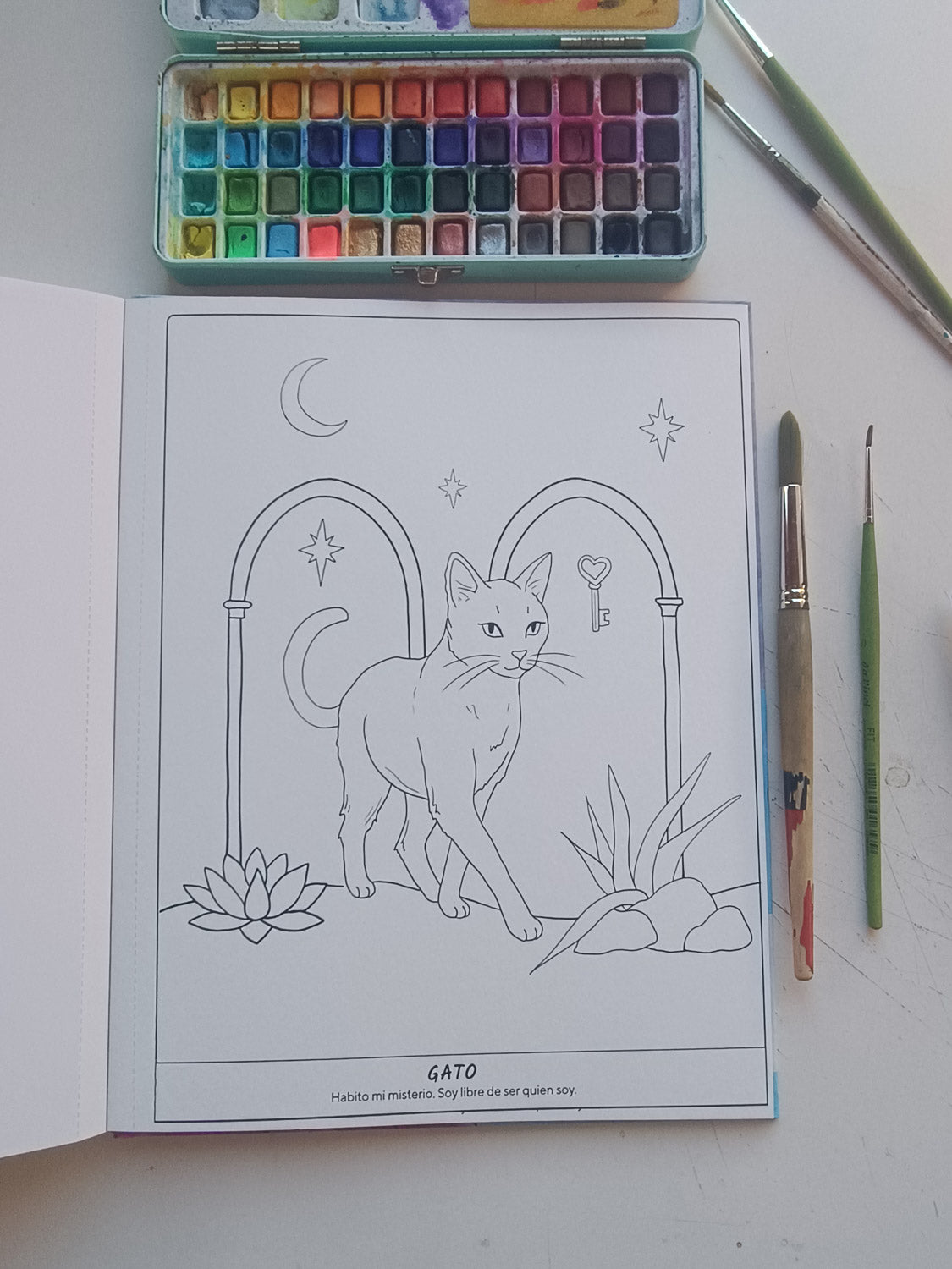 Libro Animal de Poder