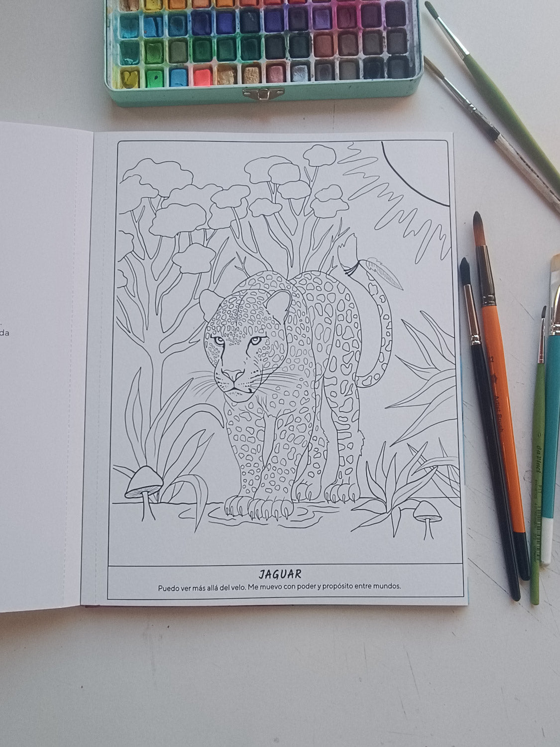 Libro Animal de Poder